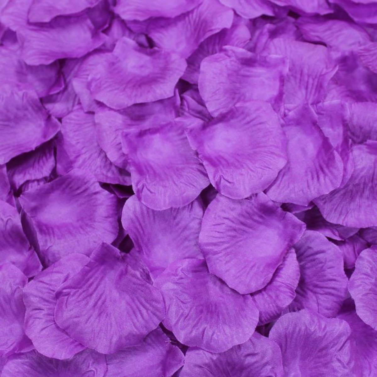 Rose Flower Petals