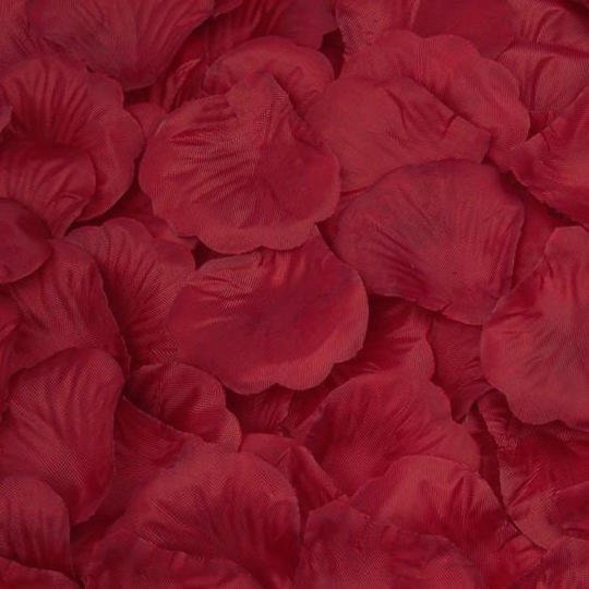 Rose Flower Petals