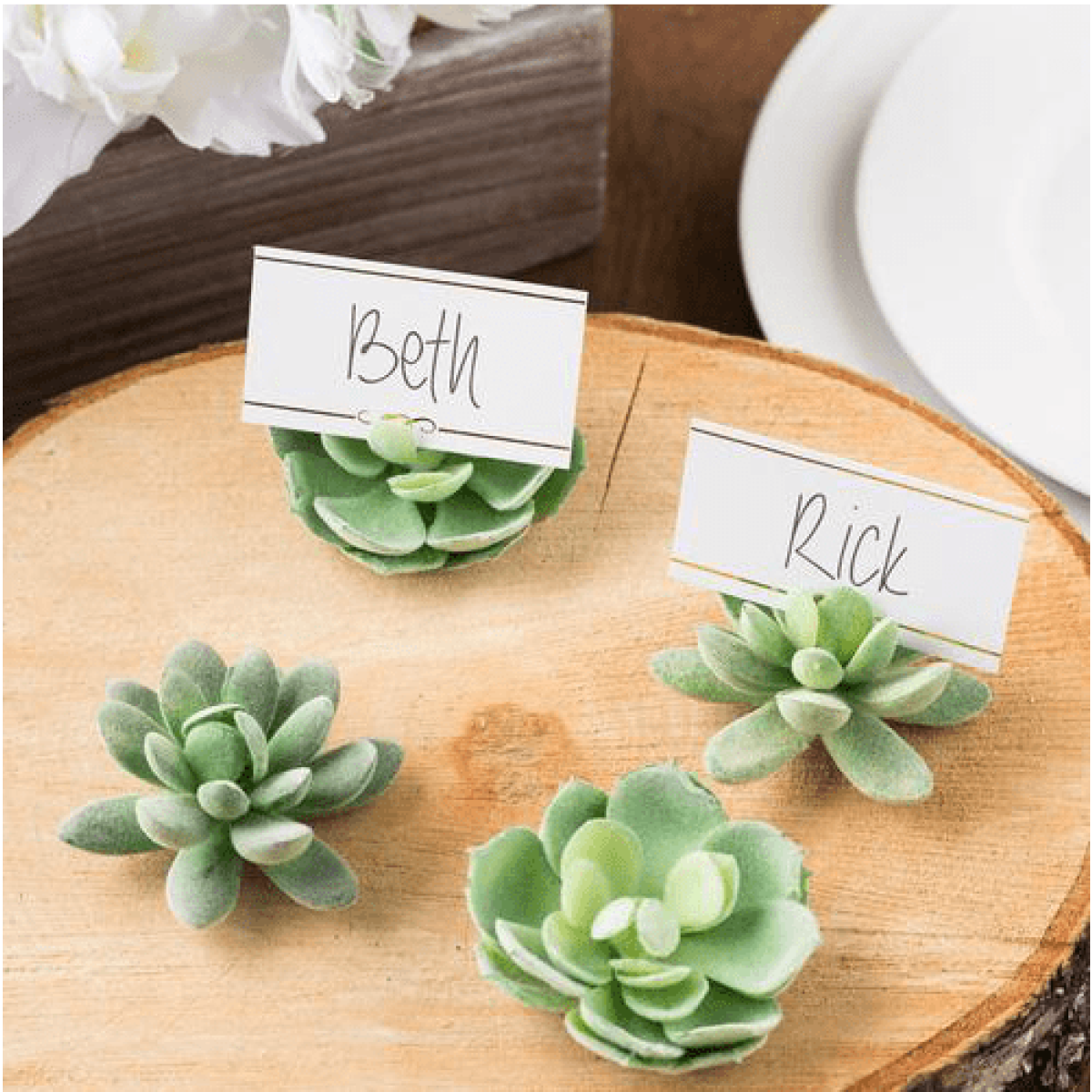 Succulent Place Card Holders