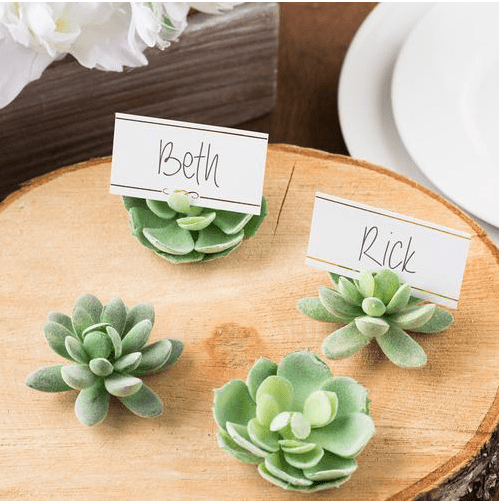 Succulent Place Card Holders