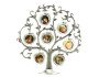 Apple Family Tree