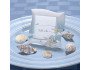 Beach Theme Place Card Frames Favors