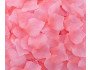 Rose Flower Petals 