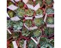 Succulents in Pails