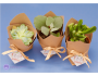 Succulent Favors