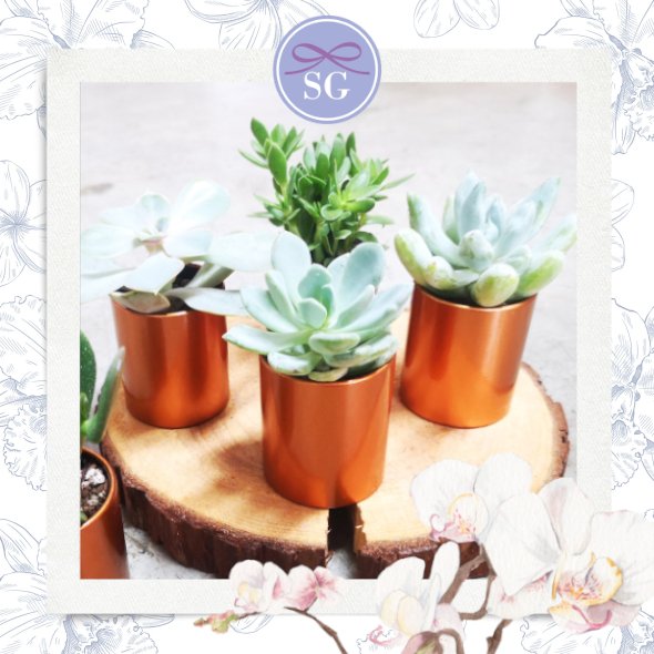 Succulent in Copper